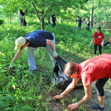 Want to volunteer outdoors?